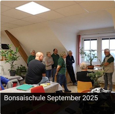 Galerie zur Bonsaischule September 2025