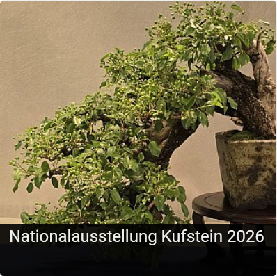 Nationalausstellung Kufstein Mai 2026