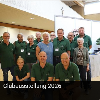 Clubausstellung-2026 Heiligenkreuz am Waasen
