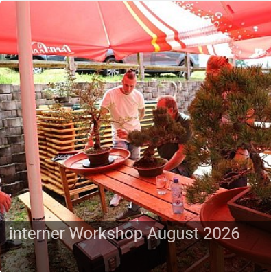 interner Workshop August 2026