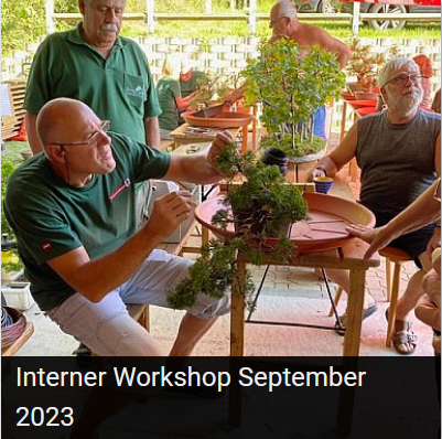 Interner Workshop September 2023